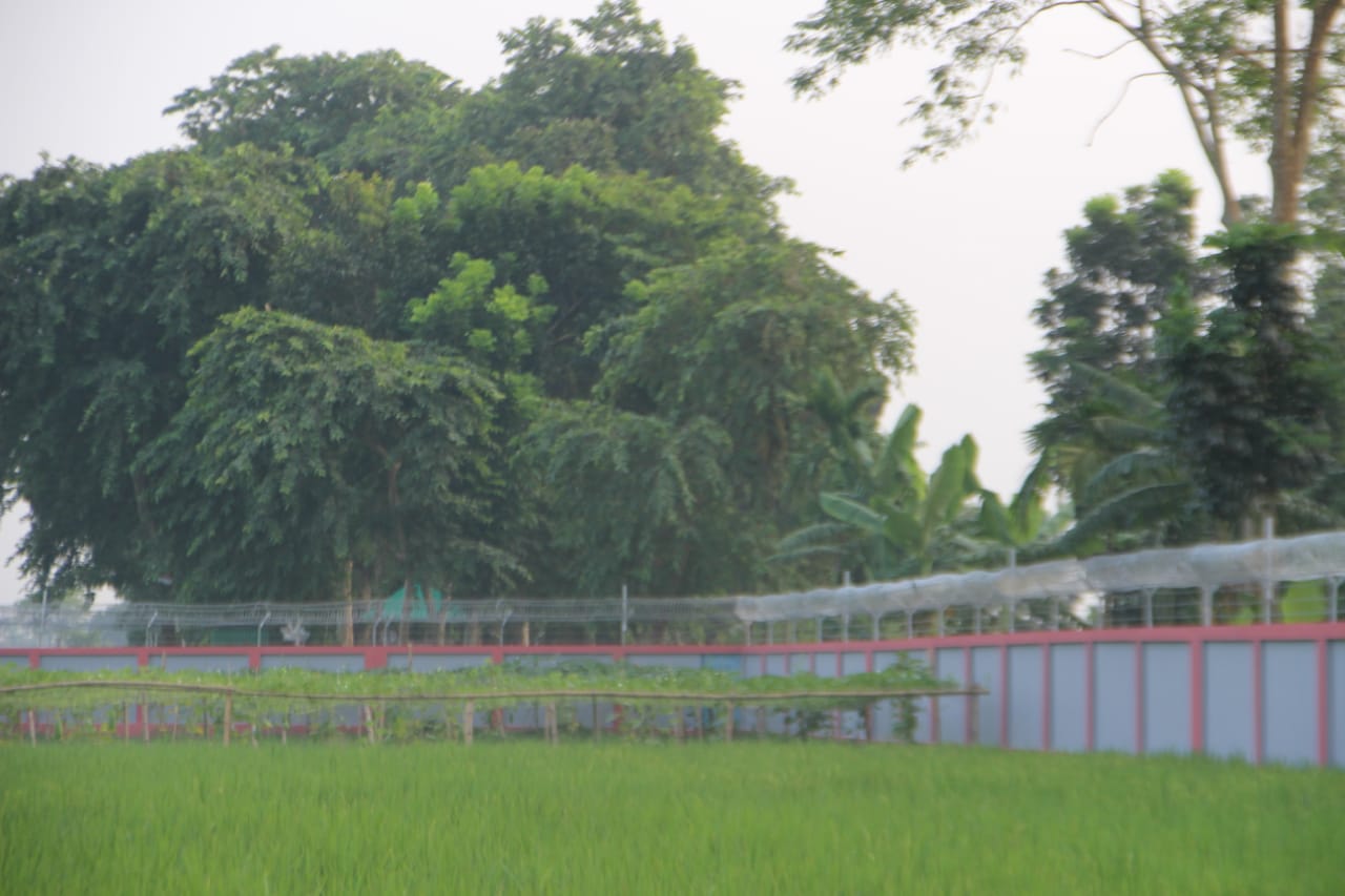 Perimeter Security Boundary Wall (47 BGB) Gallery 5